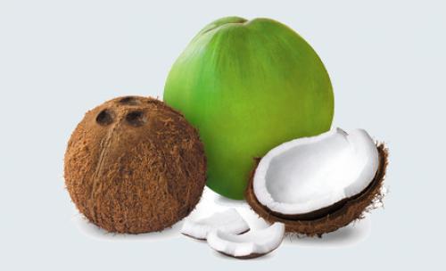 Jangan Salah Pilih! Ini Cara Mudah Membedakan Kelapa Muda dan Kelapa Tua