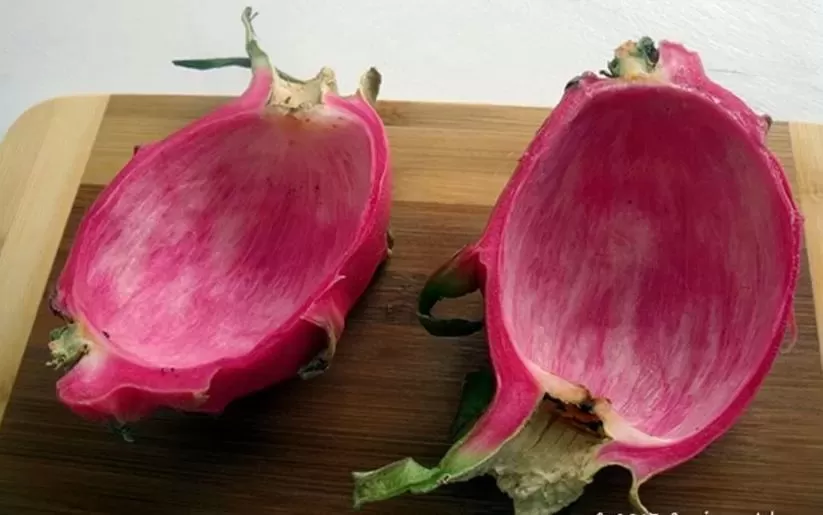 Jangan Dibuang! Kulit Buah Naga Ternyata Menyimpan Segudang Manfaat