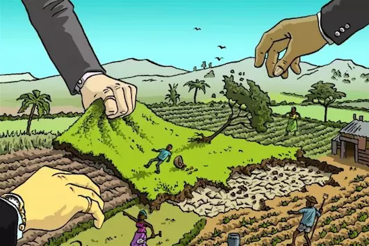 Rawat Bumi dari Rumah: Langkah Kecil yang Berdampak Besar bagi Lingkungan