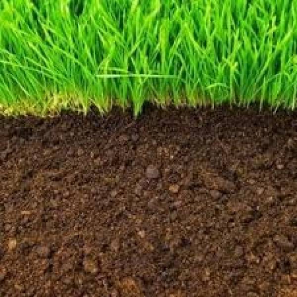 Cara Membedakan Tanah Subur dan Tidak Subur untuk Bercocok Tanam