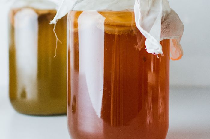Dari Ramuan Kuno ke Tren Global: Jejak Panjang Lahirnya Kombucha