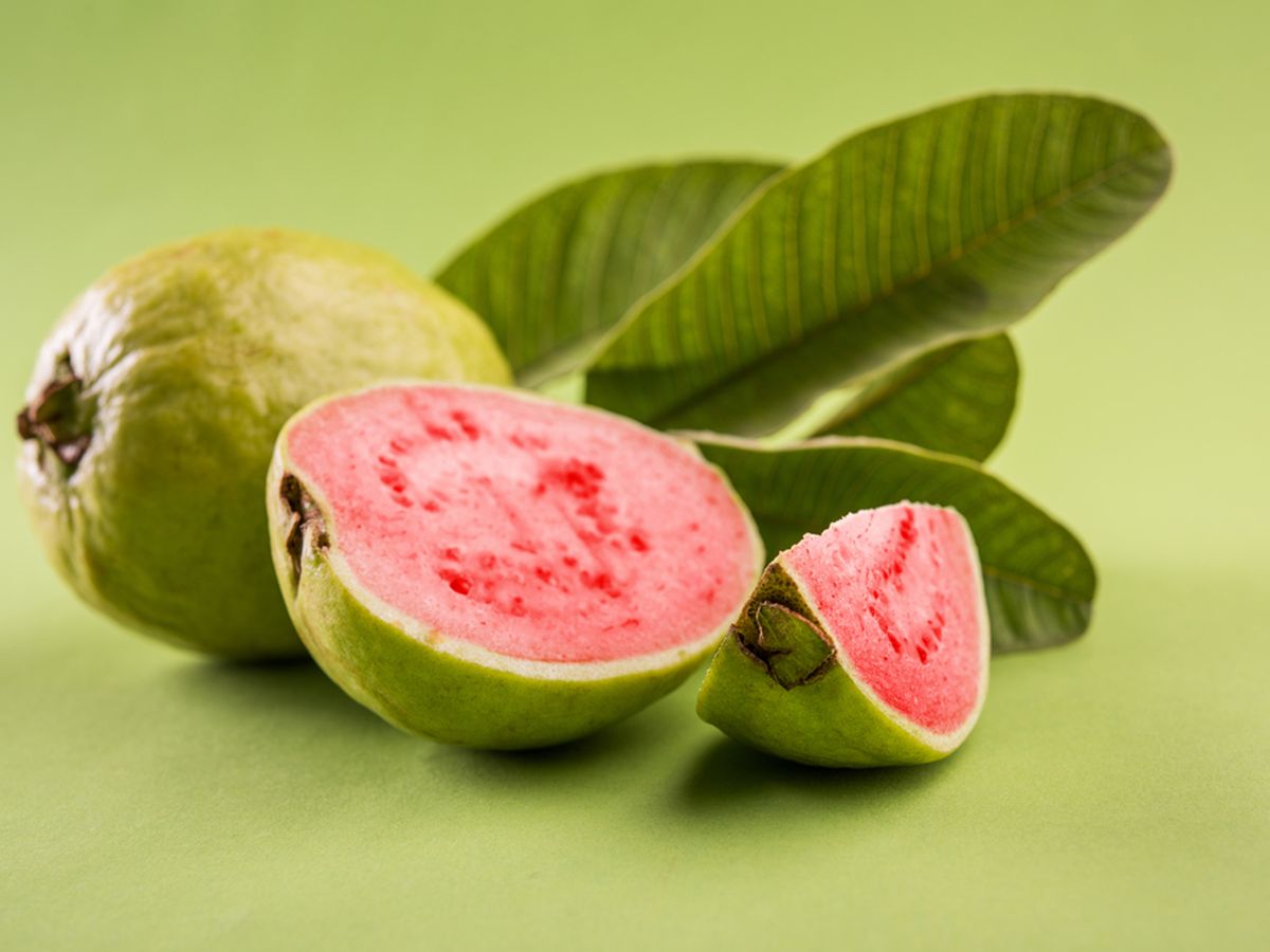 Kenapa Jambu Biji Sering Muncul Belatung? Ini Fakta di Balik Buah Favorit yang Sering Disalahpahami