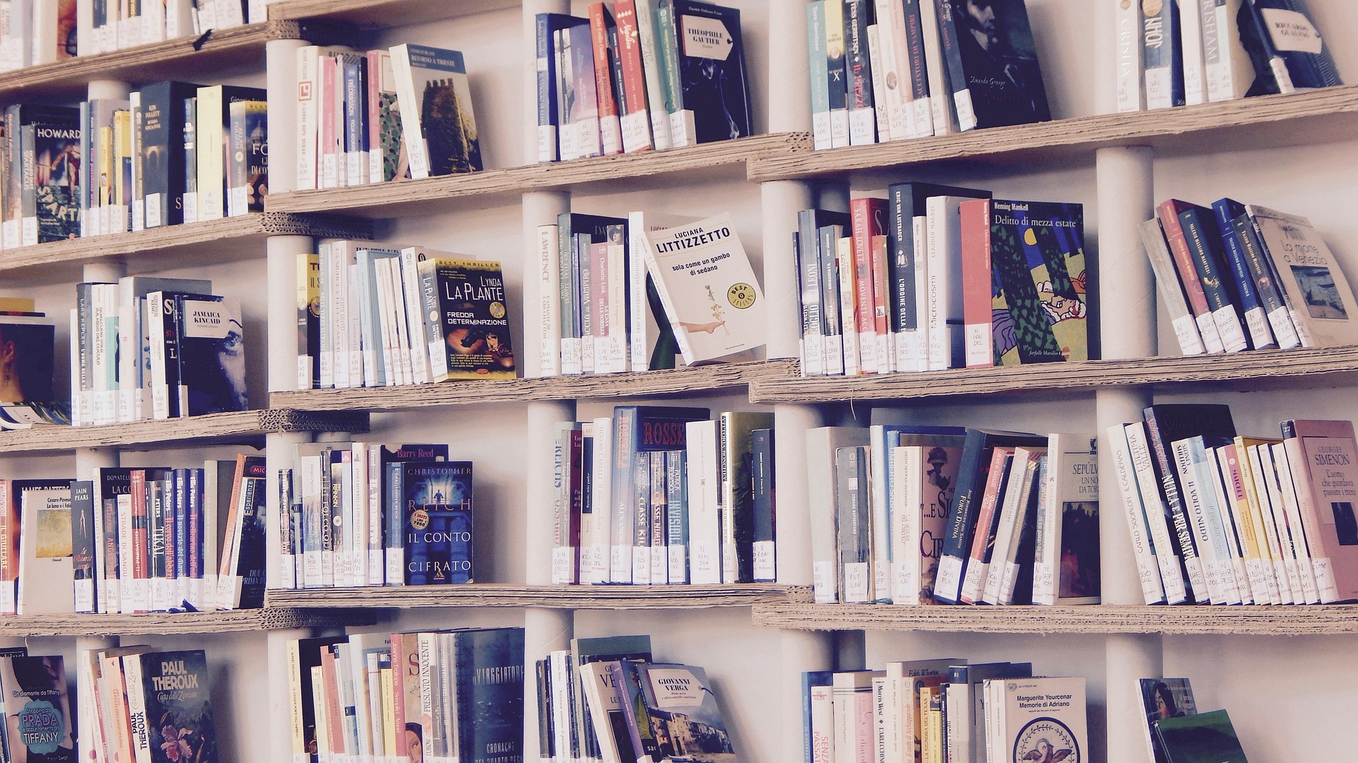 Di Balik Rak-Rak Buku: Mengapa Perpustakaan Selalu Menjadi Tanda Majunya Sebuah Peradaban?