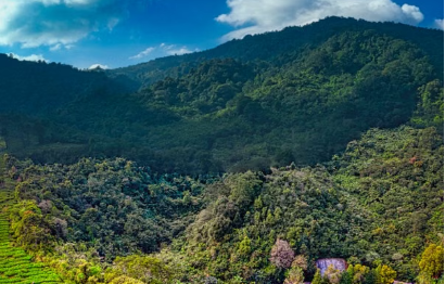 Izin Kawasan Hutan Akhirnya Terbit, Jalan Baru Haurpapak-Surian Sumedang Ditarget Dibangun 2027