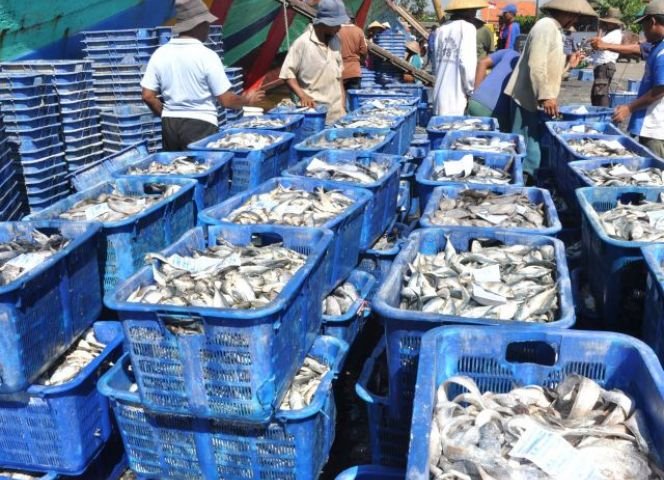 Peran Kegiatan Ekonomi dalam Memenuhi Kebutuhan Manusia