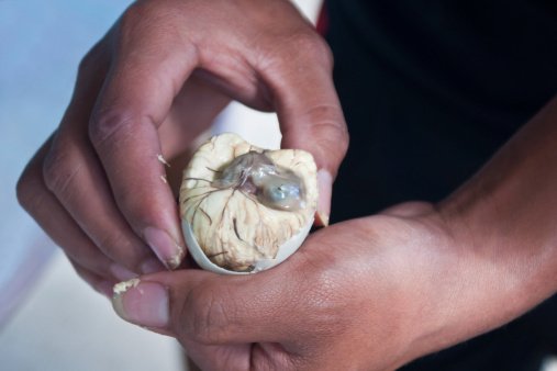 Cara Membuat Balut di Rumah: Tradisi Kuliner Unik yang Bisa Dicoba Sendiri