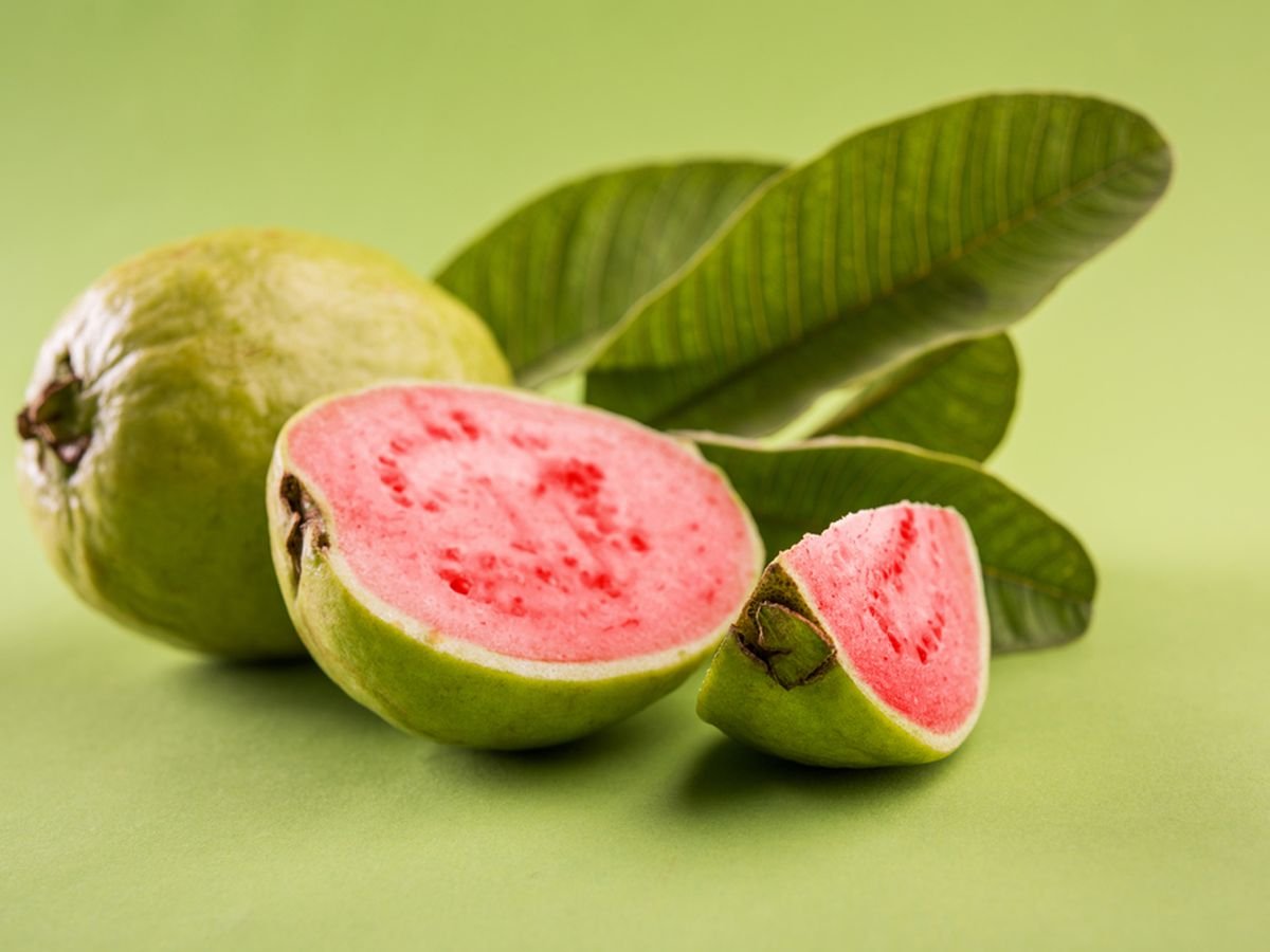 Kenapa Jambu Biji Sering Muncul Belatung? Ini Fakta di Balik Buah Favorit yang Sering Disalahpahami