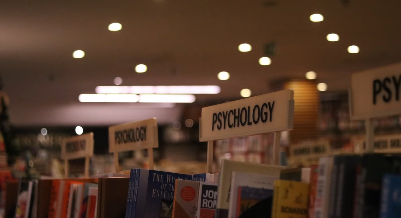 Apa Itu Psikologi? Mengenal Ilmu tentang Pikiran dan Perilaku Manusia