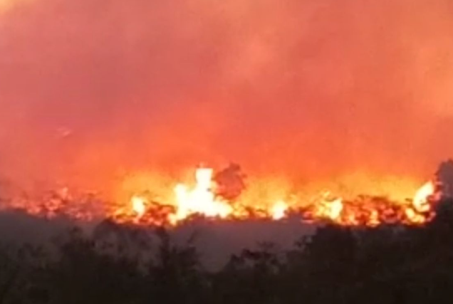 Gunung Ciremai Kembali Terbakar, Asap Pekat Membumbung dari Blok Batu Saheng Kuningan