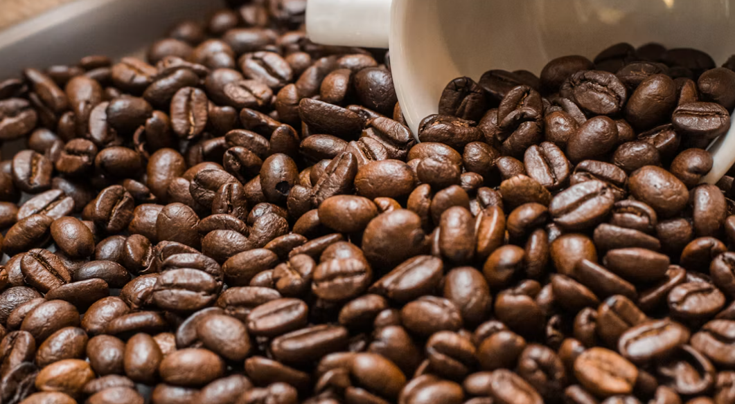 Kopi Robusta vs Arabika, Mana yang Lebih Baik? Kenali Perbedaan Rasa, Kafein, dan Manfaatnya