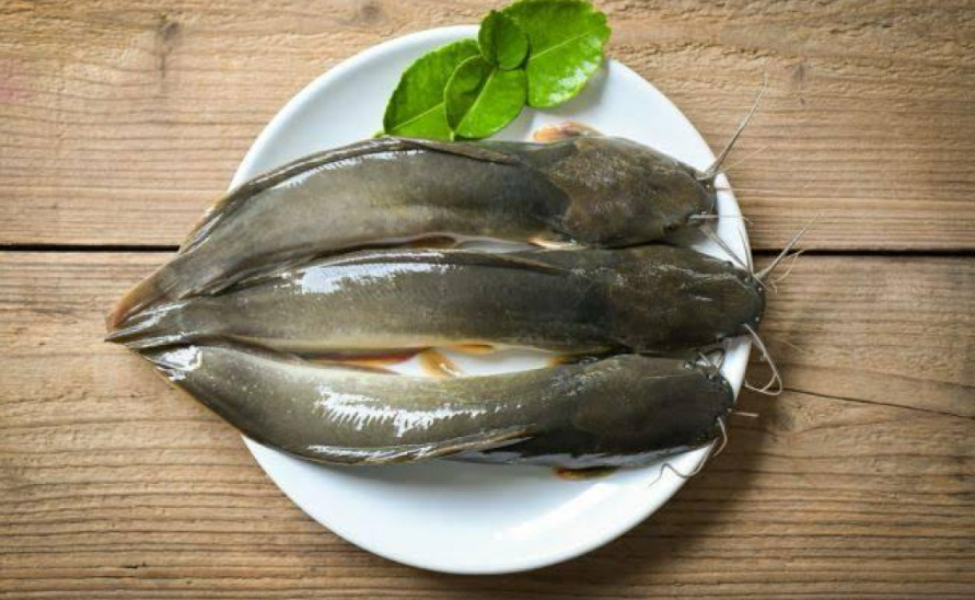 Sering Makan Lele? Ini Kandungan Protein, Vitamin, dan Mineral di Dalamnya
